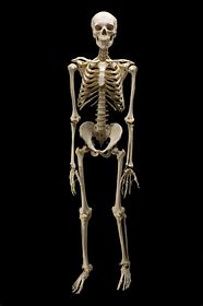 Skeleton in Your Closet